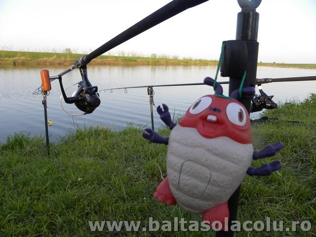 Party Cup Solacolu 2012 - DSCN8354.jpg